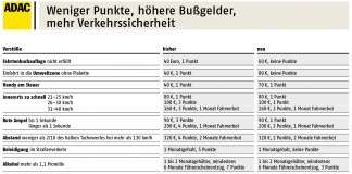 Punktereform in Flensburg: Das ändert sich 2014