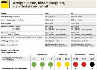 Punktereform in Flensburg: Das ändert sich 2014