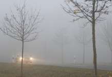 Richtiges Verhalten bei Nebel im Strassenverkehr