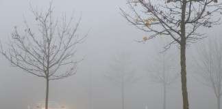 Richtiges Verhalten bei Nebel im Strassenverkehr